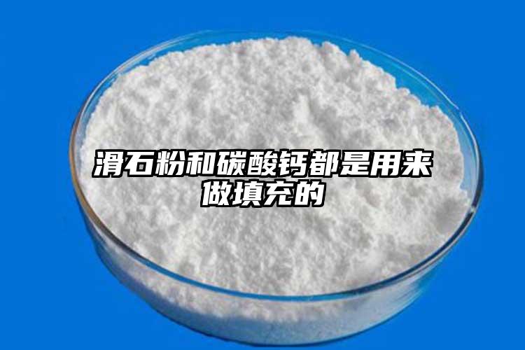 蜜柚黄app软件下载和碳酸钙都是用来做填充的